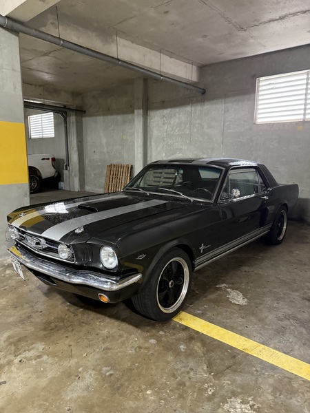 FORD MUSTANG 1966 V8 – 400 CH - véhicule d'occasion à Nouméa